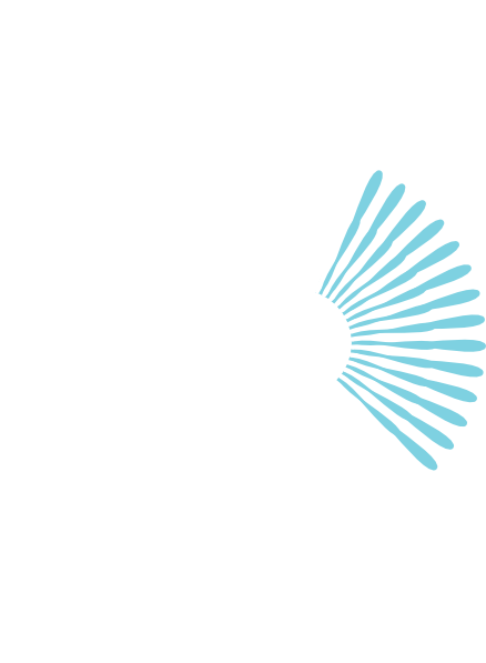 How To Set Use Burst Svg Vector - How To Set Use Burst Svg Vector (438x597)