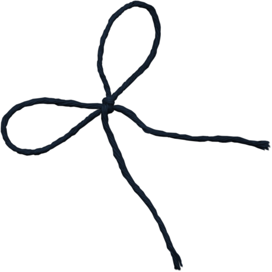 Shoelaces Png - Shoelace Png (900x900)
