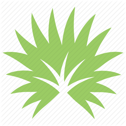 Palm Leaf Sunday Palmetto - La Quinta Returns Logo (512x512)