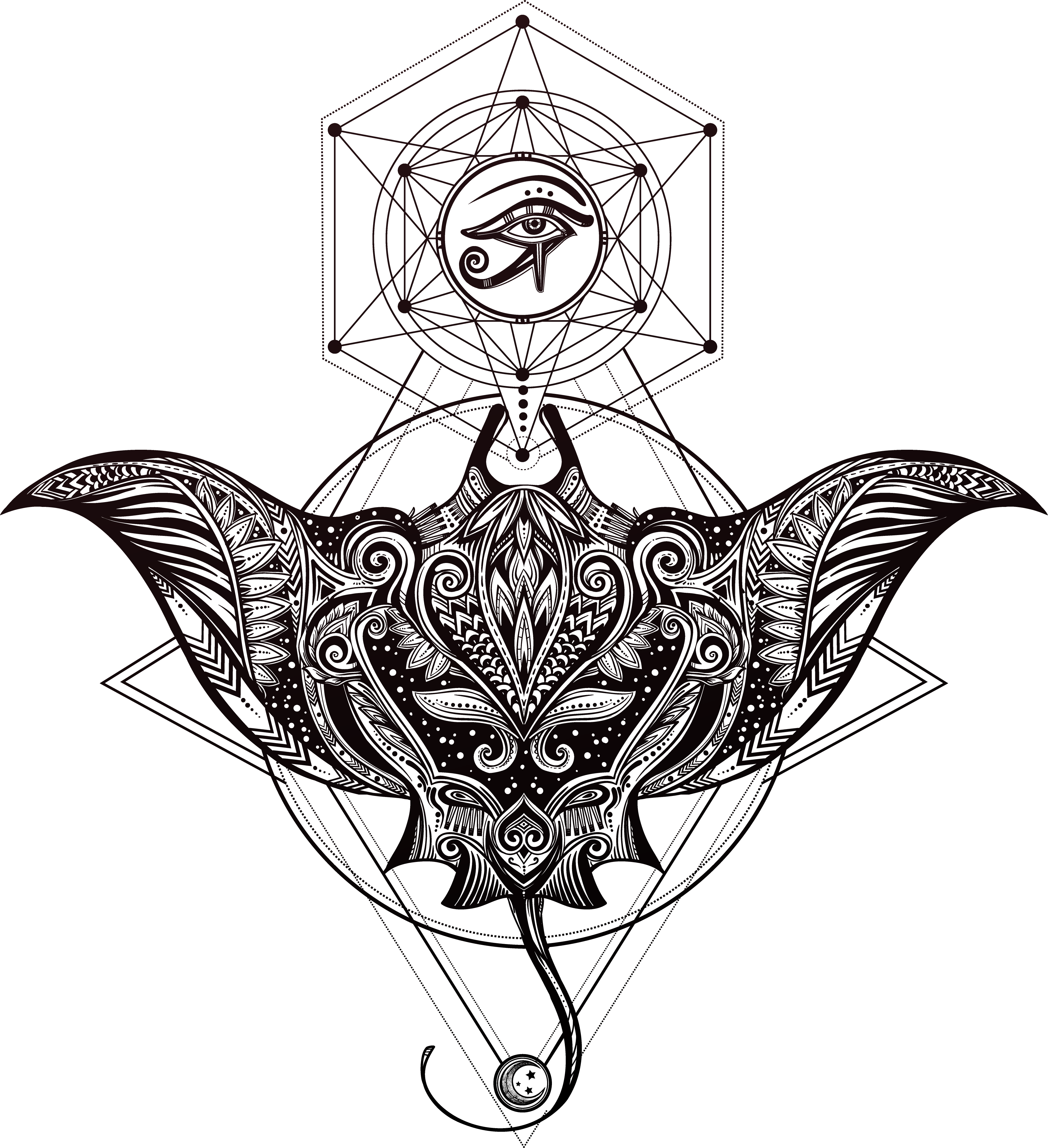 Adult Coloring Pages Stingray (3904x4278)