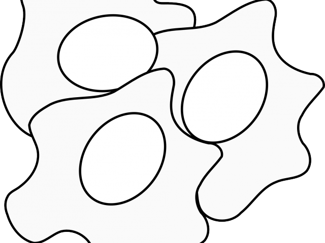 Egg Clipart Cooked Egg - Egg Clipart Cooked Egg (640x480)