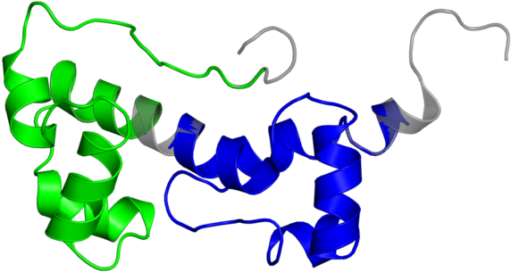 <div Class='caption-body'>2 Copies Of Cath Domain Clipart - <div Class='caption-body'>2 Copies Of Cath Domain Clipart (572x305)