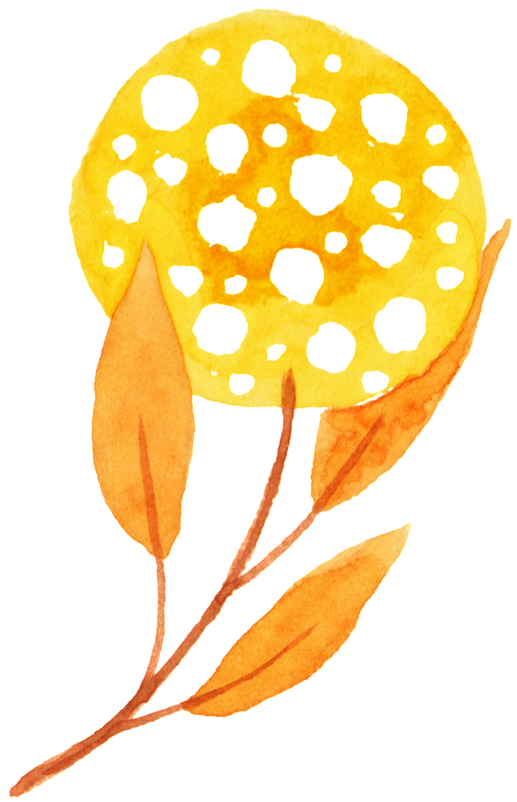 Plant Autumn Transparent Free Buckle Png - Illustration (1024x1589)