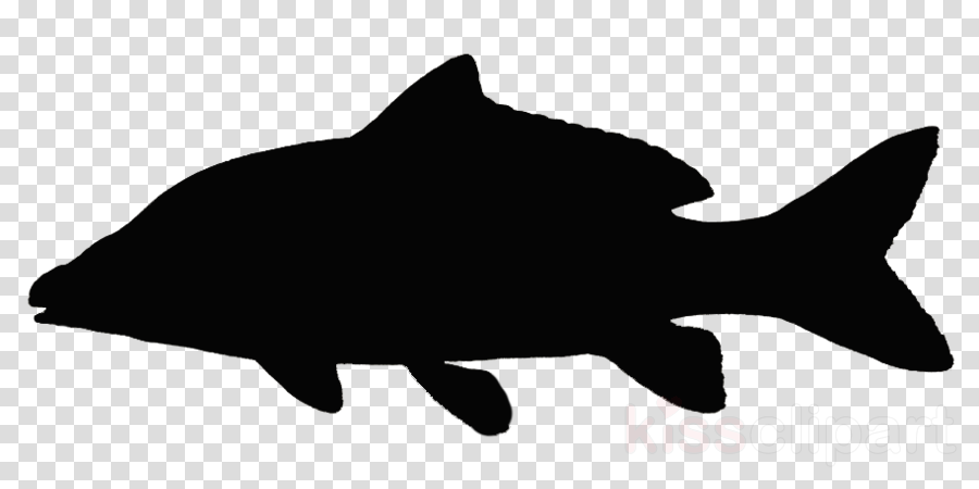 Sticker Clipart Decal Whiskers Sticker - Iron Man Meme Png (900x450)