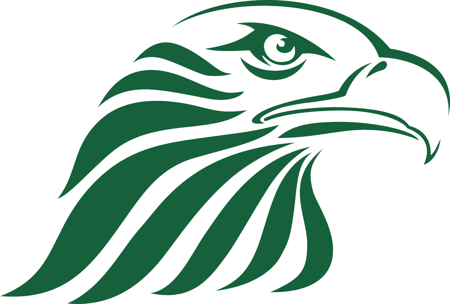 Cresset Eagle Dark Green - Eagle Head Vector (1562x1055)