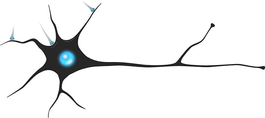 Neurotransmitter Substance P And Norepinephrine Copy1 - Synapse Png (900x425)