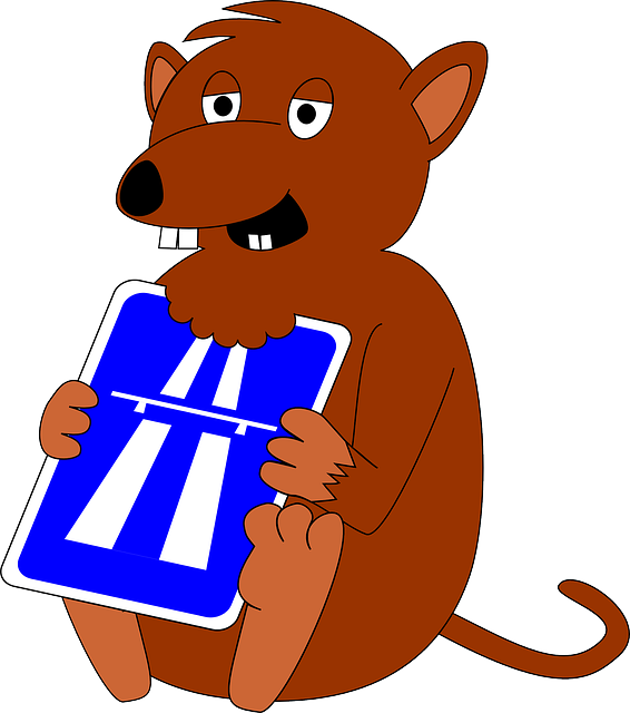 They Have Aged Related Systems To Their Image Like - Clip Art (566x640)