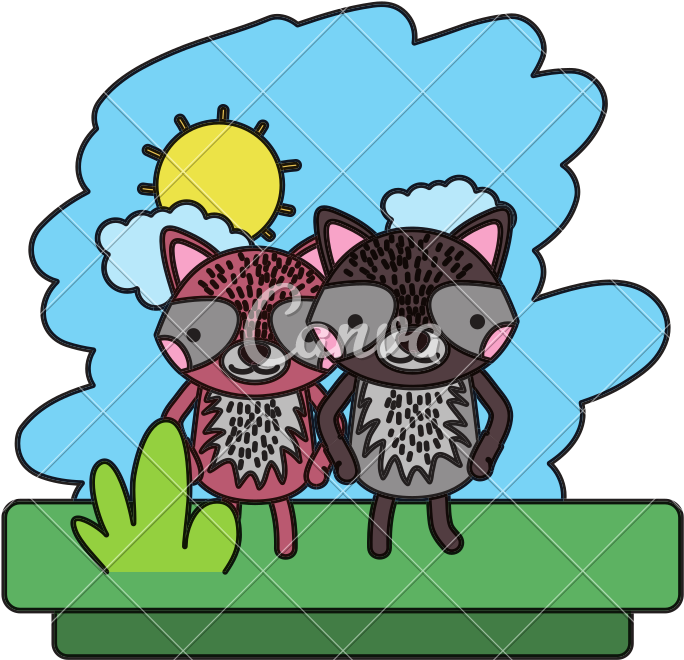 Color Couple Raccoon Cute Wild Animal - Illustration (800x800)