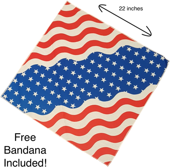 Buy Willie Braided Wig With Usa Bandana - Illustration (580x640)