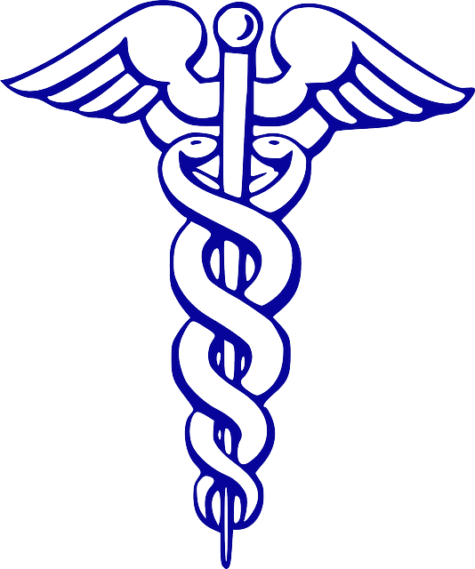 Bay Area Medical Academy - Doctor Logo Black And White (534x640)
