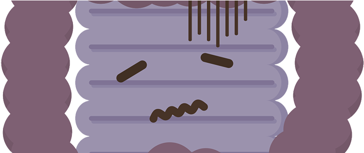 New Caregiver Alert - Illustration (740x300)