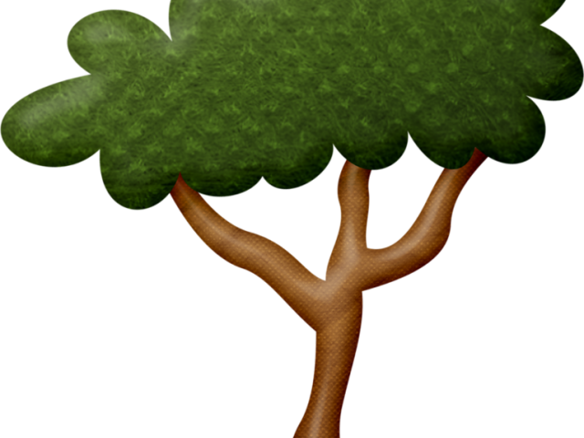 Zoo Clipart Tree - Trees In Zoo Clip Art (640x480)