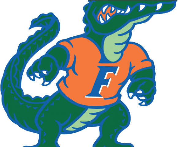 Crocodile Clipart Uf Gator - Florida Gators Logo (640x480)