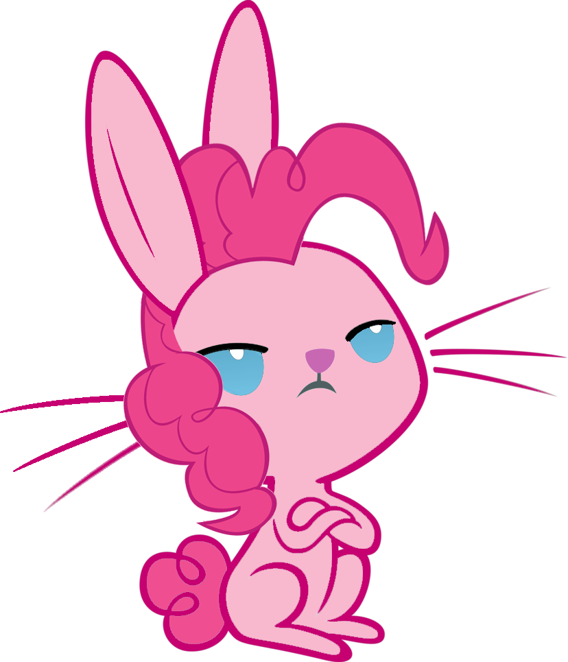 Pinkie Pie Rainbow Dash Rarity Fluttershy Sunset Shimmer - Angel Bunny My Little Pony (828x965)