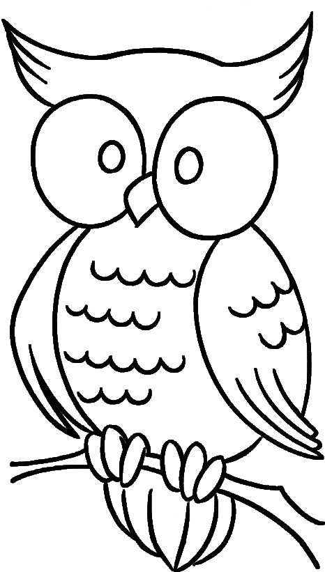 Cute Owl With Bulging Eyes Coloring Pages - Simple Owl Coloring Pages (501x820)