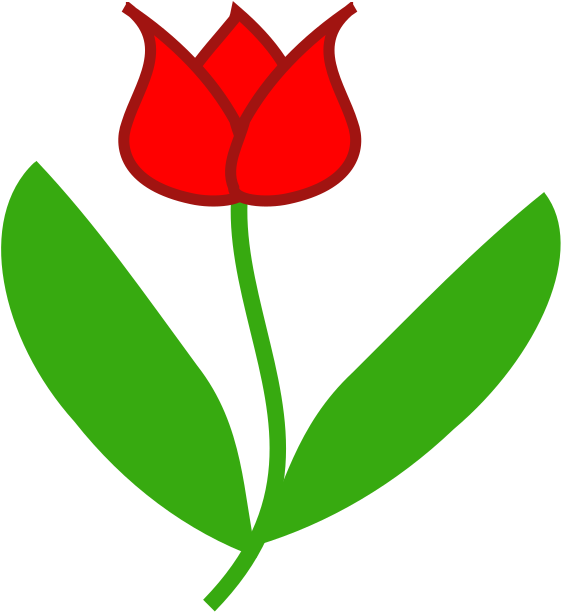 666 X 666 1 - Sprenger's Tulip (666x666)