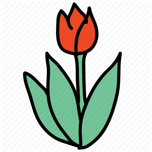 Tulip Clipart Icon - Tulipa Humilis (512x512)
