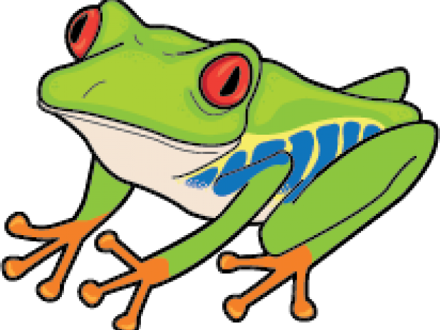 Green Frog Clipart Lily Pad - Red Eyed Tree Frog Clipart (640x480)