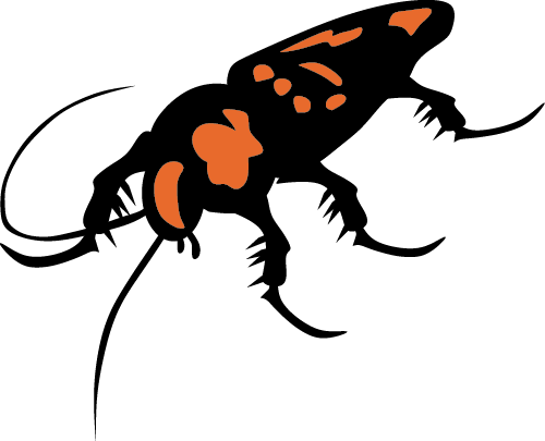 Cockroach Sunshine Pest Management - Cockroach Sunshine Pest Management (500x405)