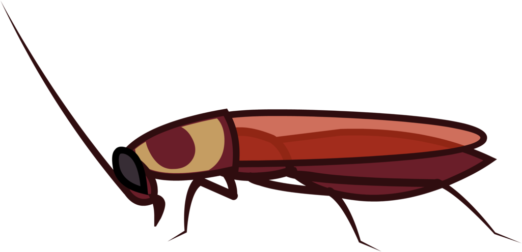 Cockroach Sonic And Rainbow Dash Adventure Style - Longhorn Beetle (1024x522)