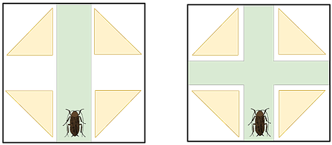 Above Is The General Set-up Of The Experiment - Cross (555x246)