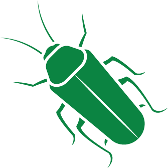 Cockroaches - Longhorn Beetle (446x447)
