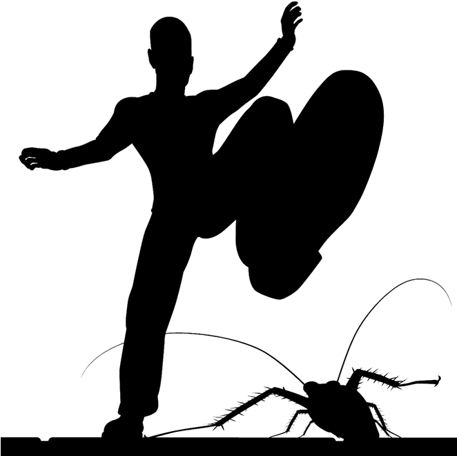 How To Get Rid Of Cockroaches - Man Stamping (661x700)