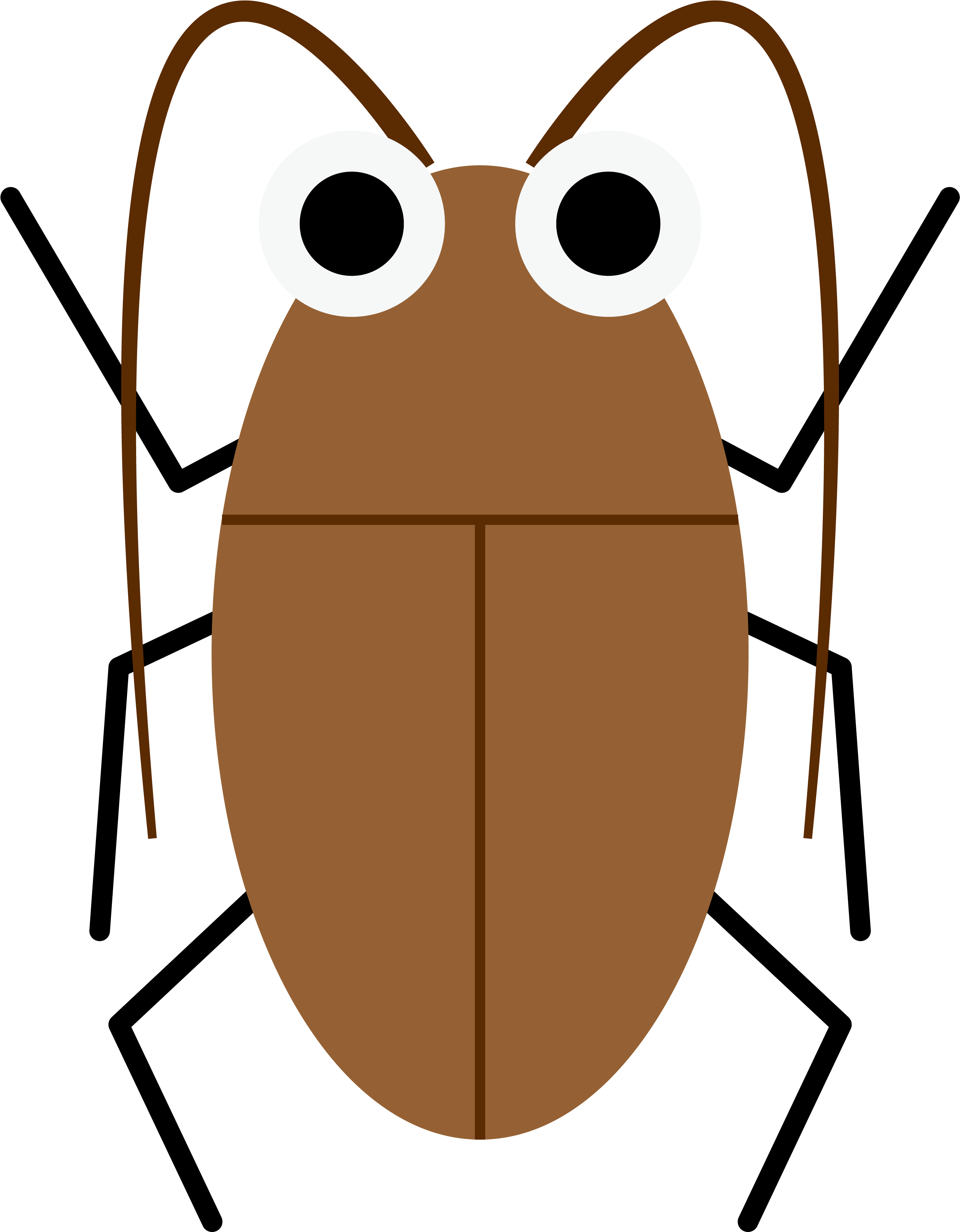 Now, You Can Beat Any Big Cockroaches With Those Powerful - ゴキブリ イラスト フリー 素材 (2997x3840)