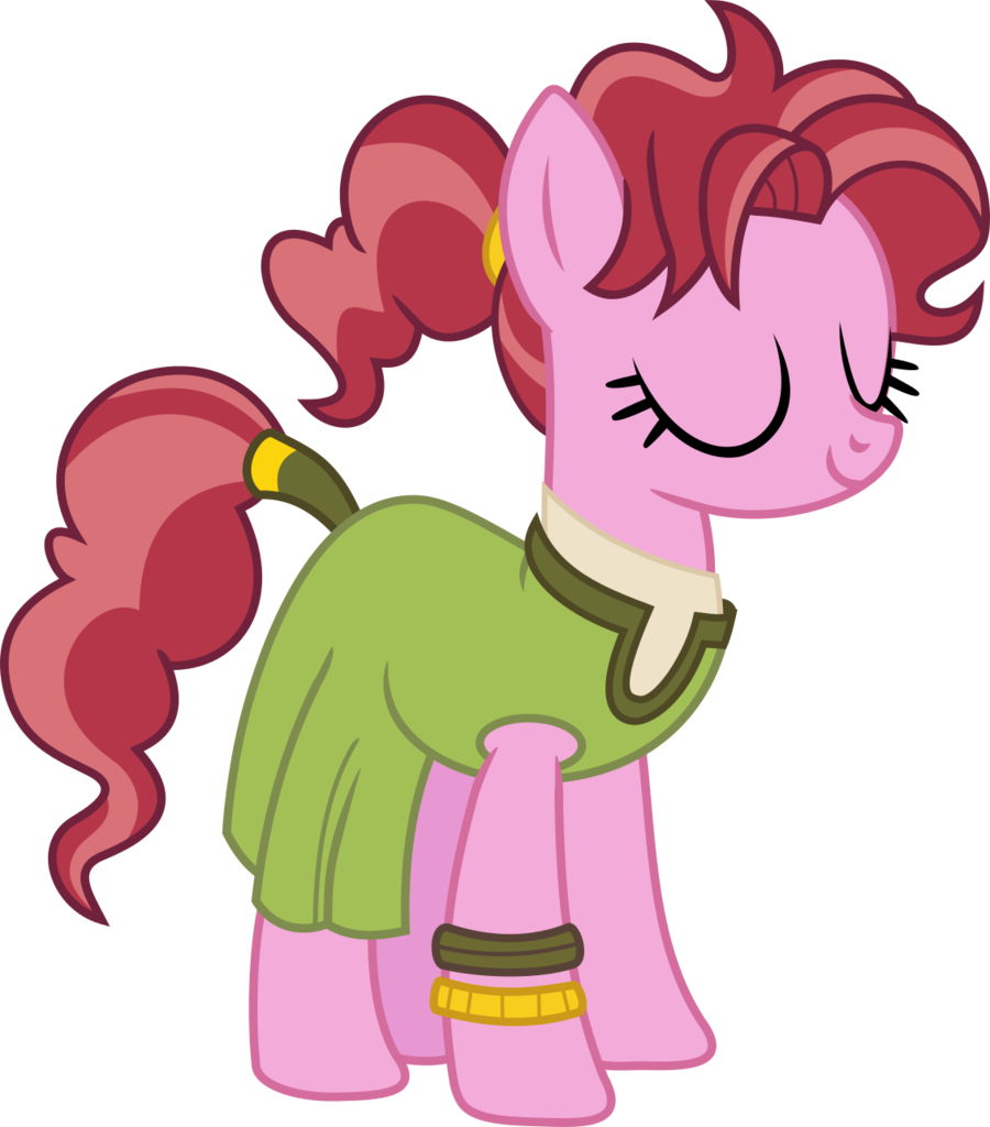 Artist Charity Rose Transparent Background - Mlp Background Ponies Vector (900x1024)