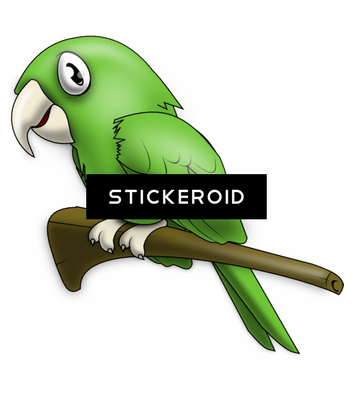 Cute Parrot - Parakeet (704x785)