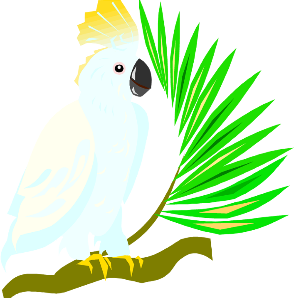 Free Parrot Clipart Free Parrot And Macaw Clipart Clipart - Sulphur-crested Cockatoo (1024x1024)