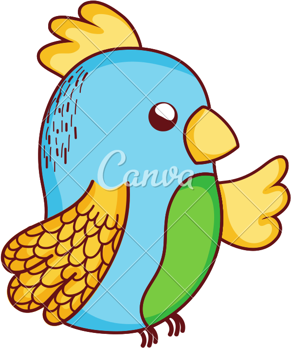 Beauty Parrot Bird Cute Animal - Parrot Doodle (800x800)