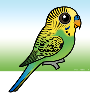 Birdorable Budgie (360x375)