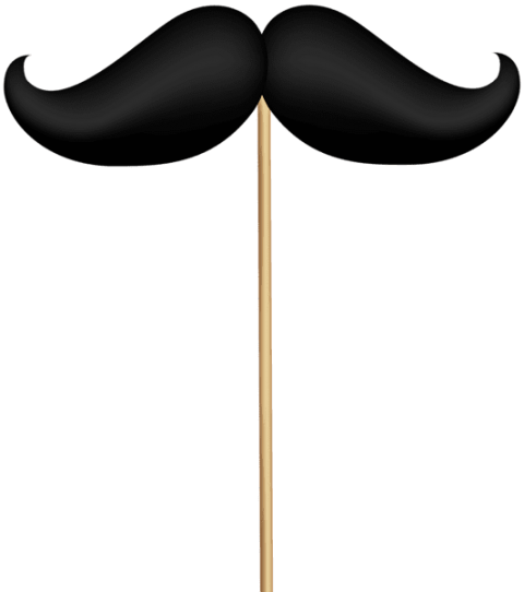 Download Stache On Stick Transparent Clipart Png Photo - Mustache On A Stick Png (480x542)