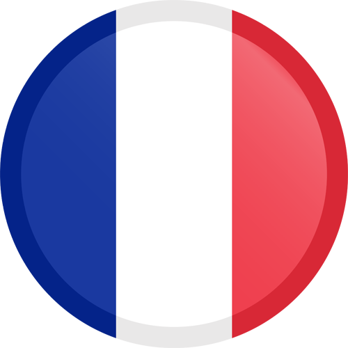 Button Round Small European - Icona Bandiera Francia Png (500x500)