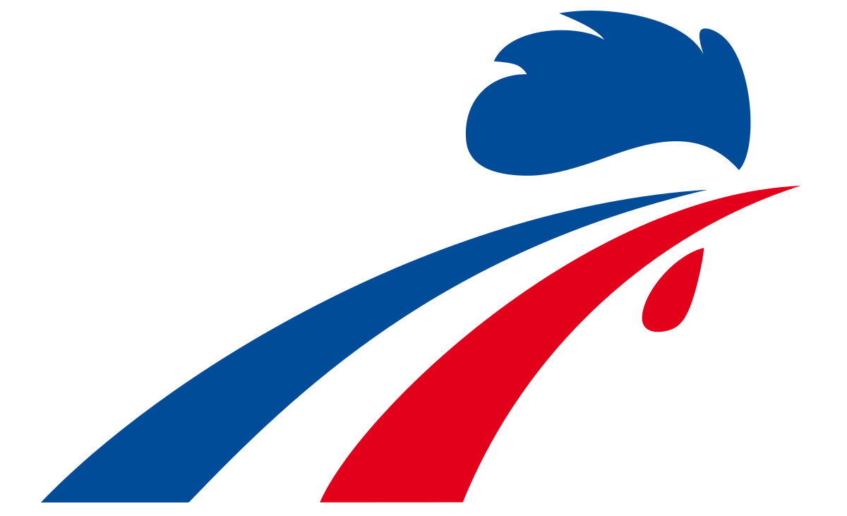 France Men's National Ice Hockey Team (1200x731)