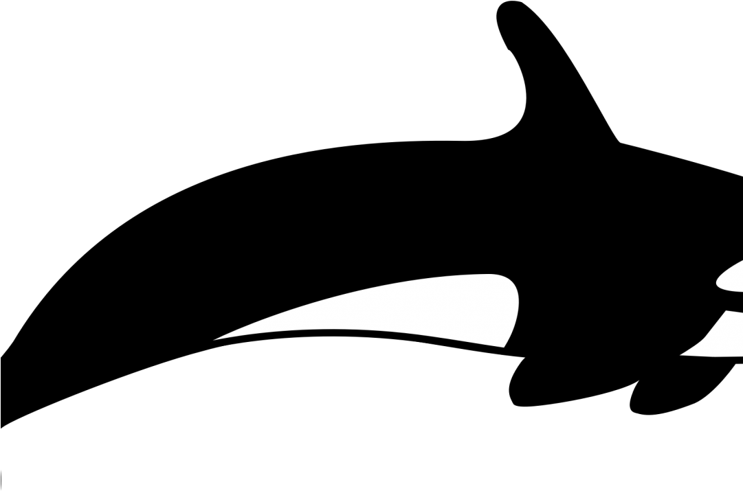Frightening Shamu Clipart The Killer Whale Cetacea - Shark (1080x800)