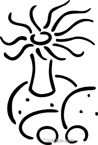 Sea Anemone Royalty Free Vector Clip Art Illustration - Coloring Book (327x480)