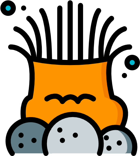 Sea Anemone Free Icon - Sea Anemone Free Icon (512x512)