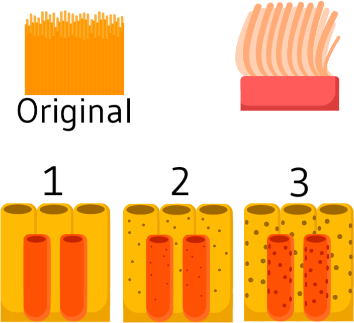 Flair Neededanemone Reskin Sponge Variation Second - Flair Neededanemone Reskin Sponge Variation Second (724x665)