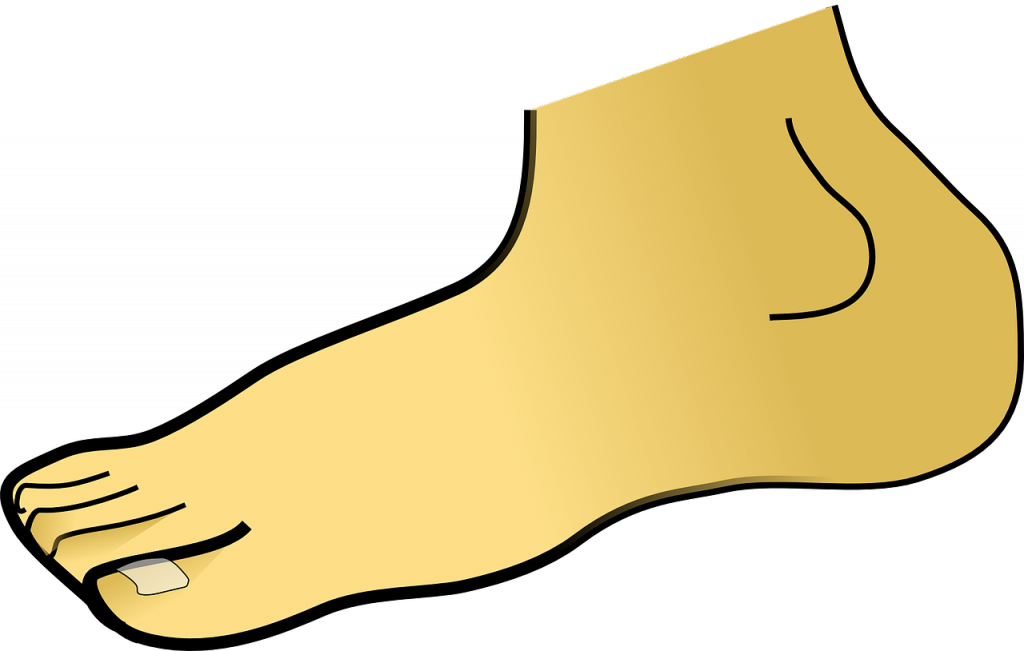 Sheldon Fleishman, Dpm Is A Podiatrist In Blue Springs - Foot Clipart Png (1024x651)