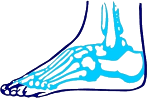 Mobile Hcpc Register Podiatrists / Chiropodists - Mobile Hcpc Register Podiatrists / Chiropodists (485x324)