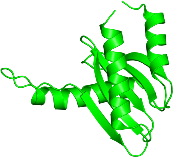 <div Class='caption-body'>2 Copies Of Scop Domain < - <div Class='caption-body'>2 Copies Of Scop Domain < (800x800)