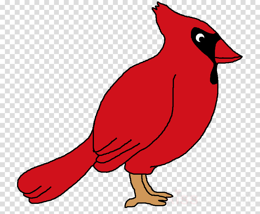Northern Cardinal Clipart Northern Cardinal Clip Art - Planet Mercury Png (900x740)