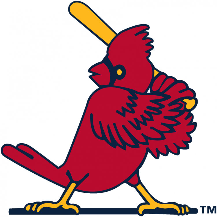 Louis Cardinals Iron On Stickers And Peel-off Decals - St Louis Cardinals Logo (750x930)