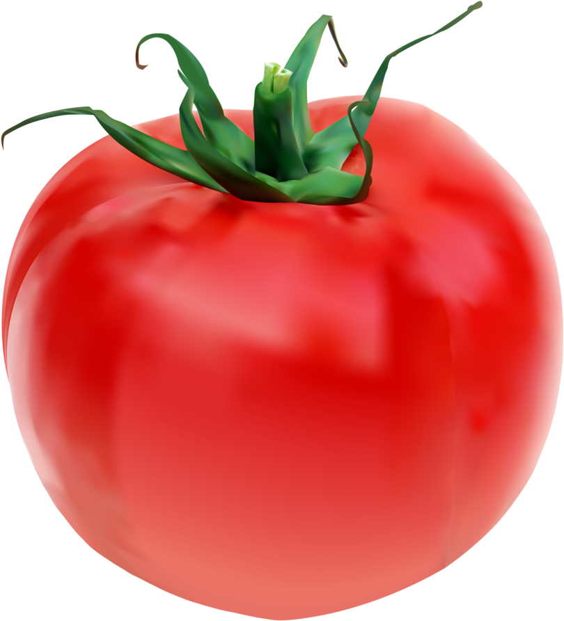 Cherry Tomato Clipart Object - Tomato (1000x1294)