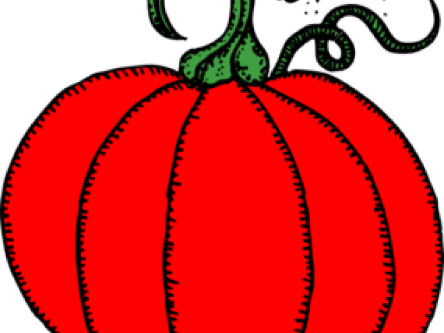Pumpkin Blossom Cliparts Free Download Clip Art - Line Drawing Pumpkin Clip Art (640x480)