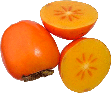 Download Free "persimmon Clipart 3" Png Photo, Images - Download Free "persimmon Clipart 3" Png Photo, Images (465x388)