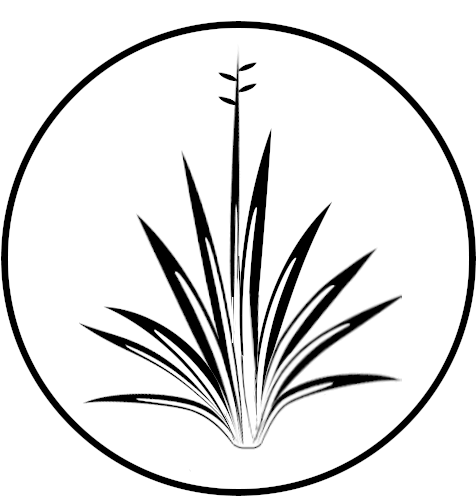 Sisal Strategies - Line Art (512x510)