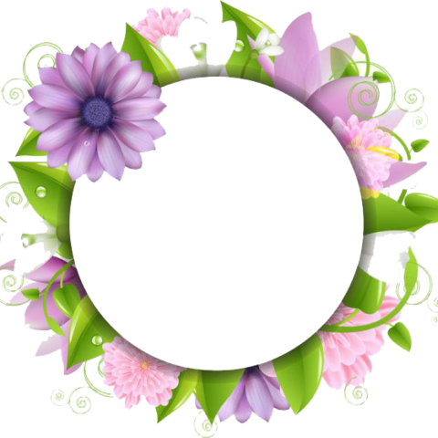 Free Png Download Flower Designs For Borders Png Images - Border Flowers Png Hd (480x480)